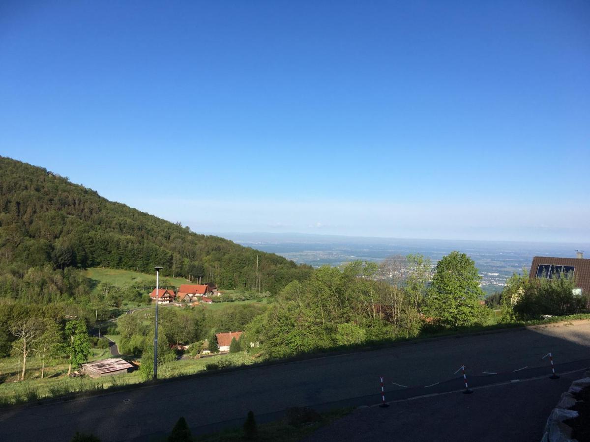Apartment Ferienwohnung Brandmatt - Weitblick - 54Qm 萨巴赫瓦登 外观 照片