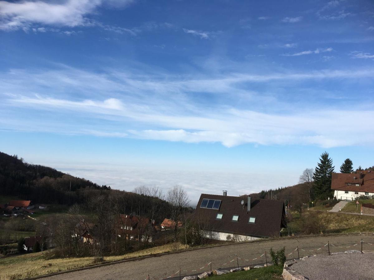 Apartment Ferienwohnung Brandmatt - Weitblick - 54Qm 萨巴赫瓦登 外观 照片