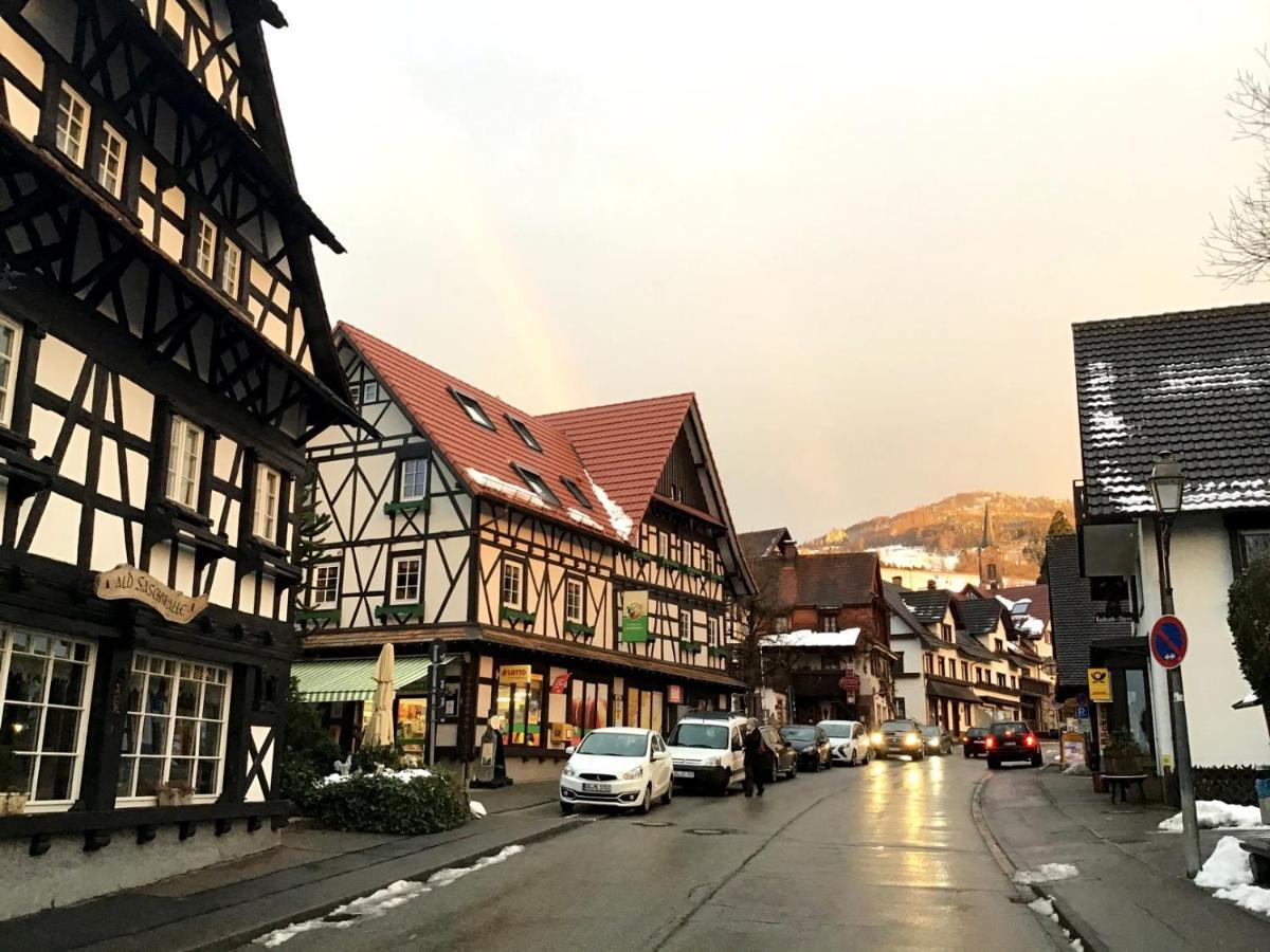 Apartment Ferienwohnung Brandmatt - Weitblick - 54Qm 萨巴赫瓦登 外观 照片